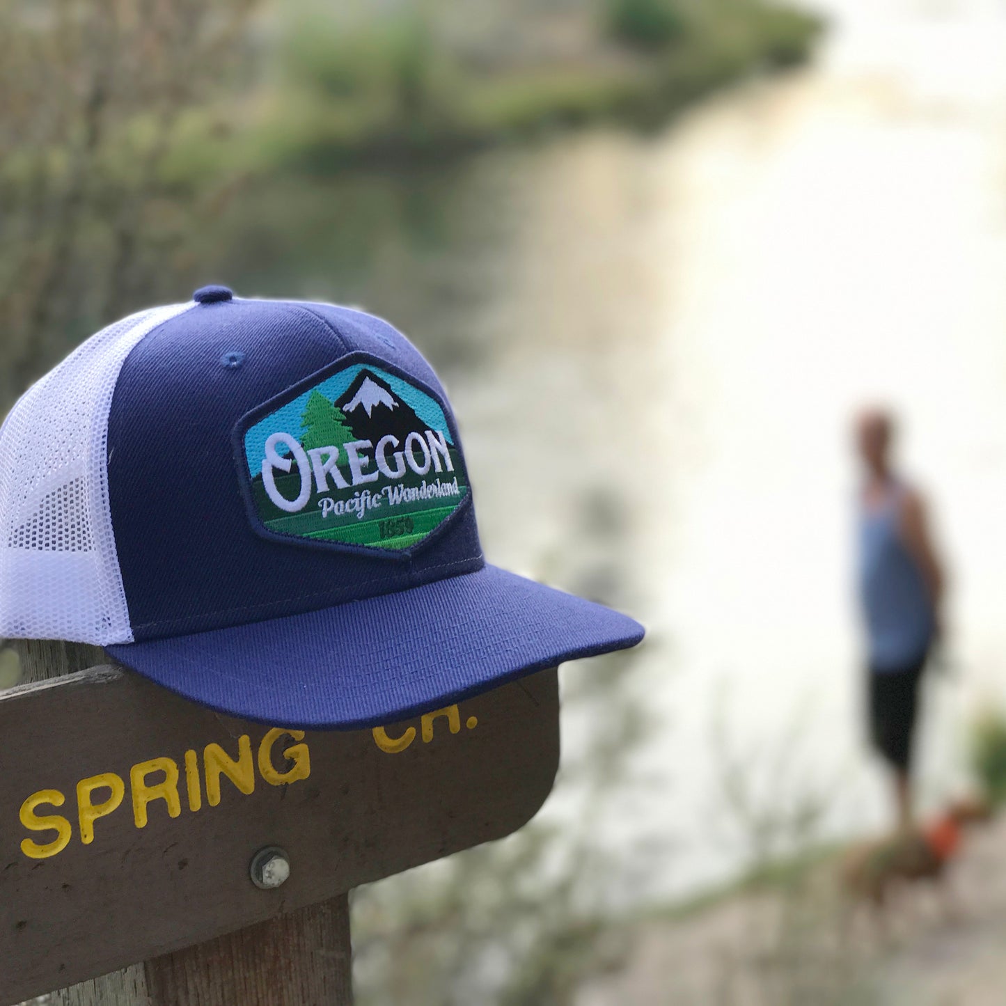 Oregon Pacific Wonderland Vintage | Snapback hat