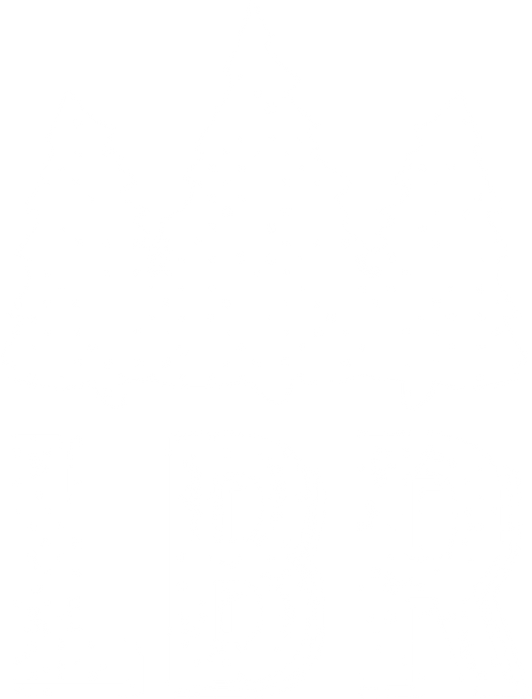 Little Bay Root logo