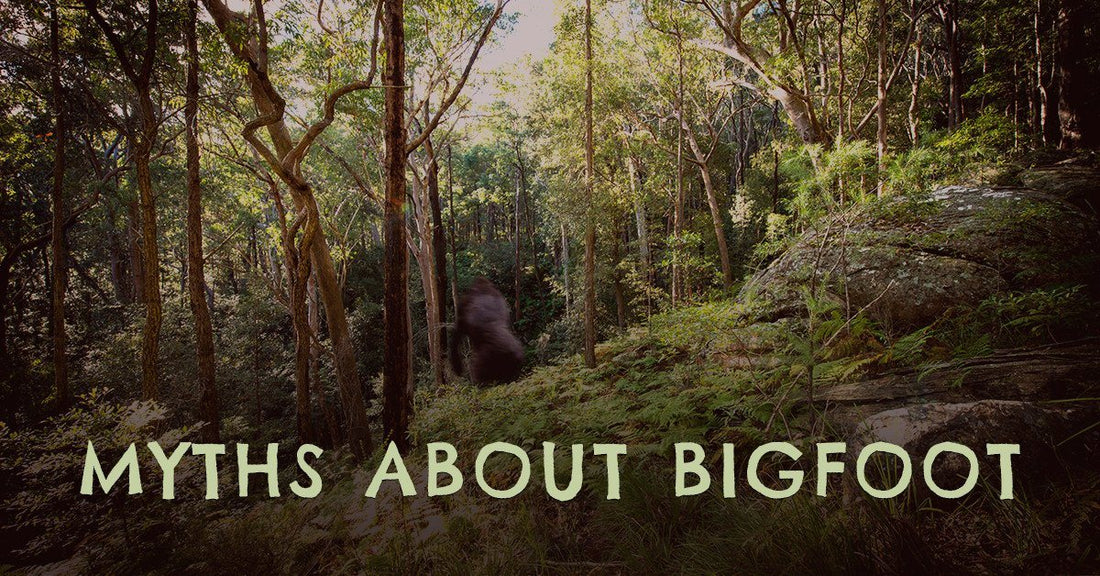 The Main Misconceptions About Bigfoot