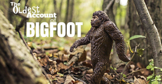 Who Spotted Bigfoot First?