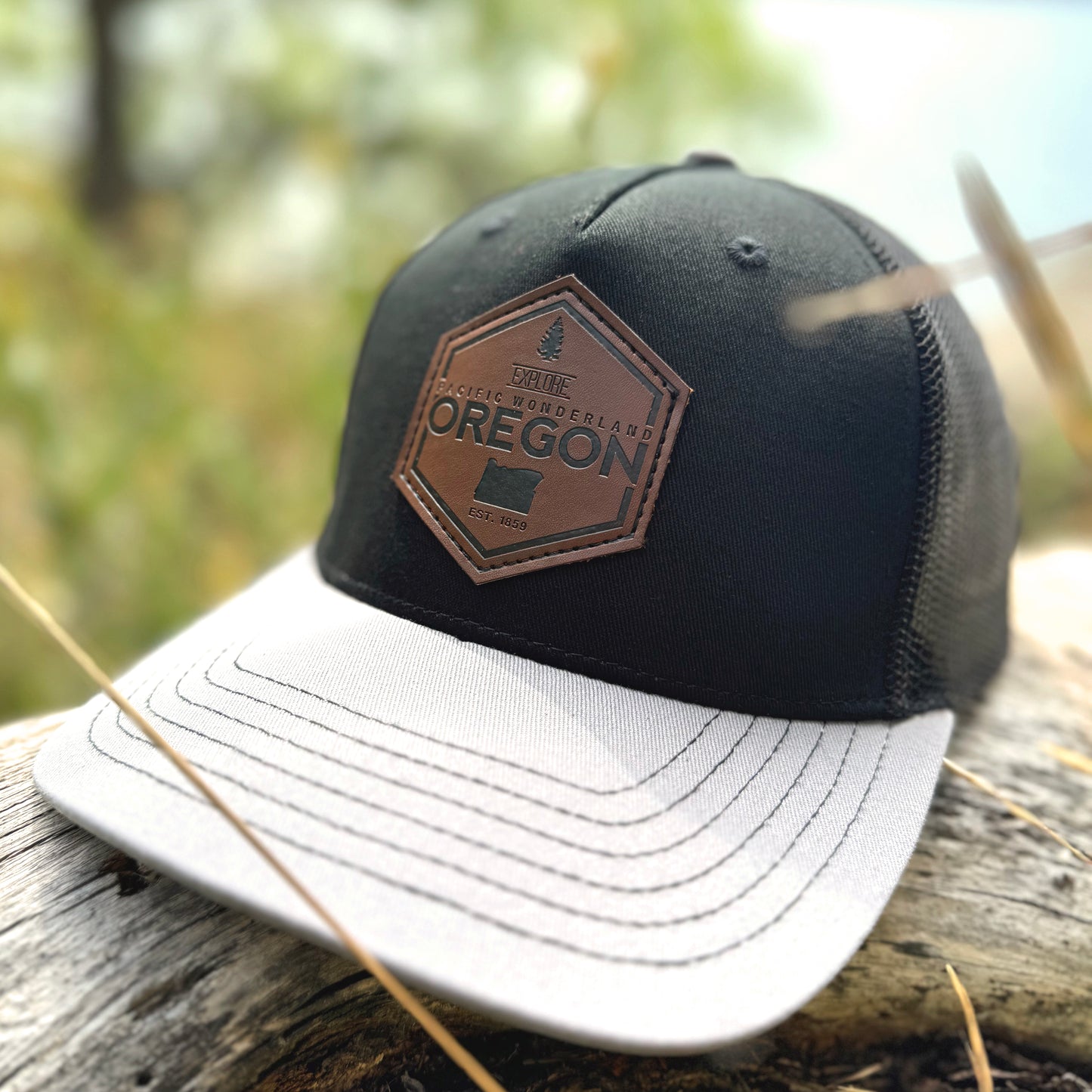 Explore Oregon Curved bill snapback Black