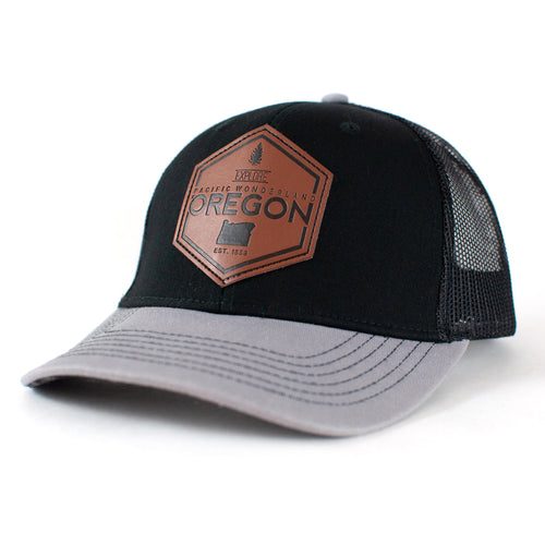 Explore Oregon Curved bill snapback Black