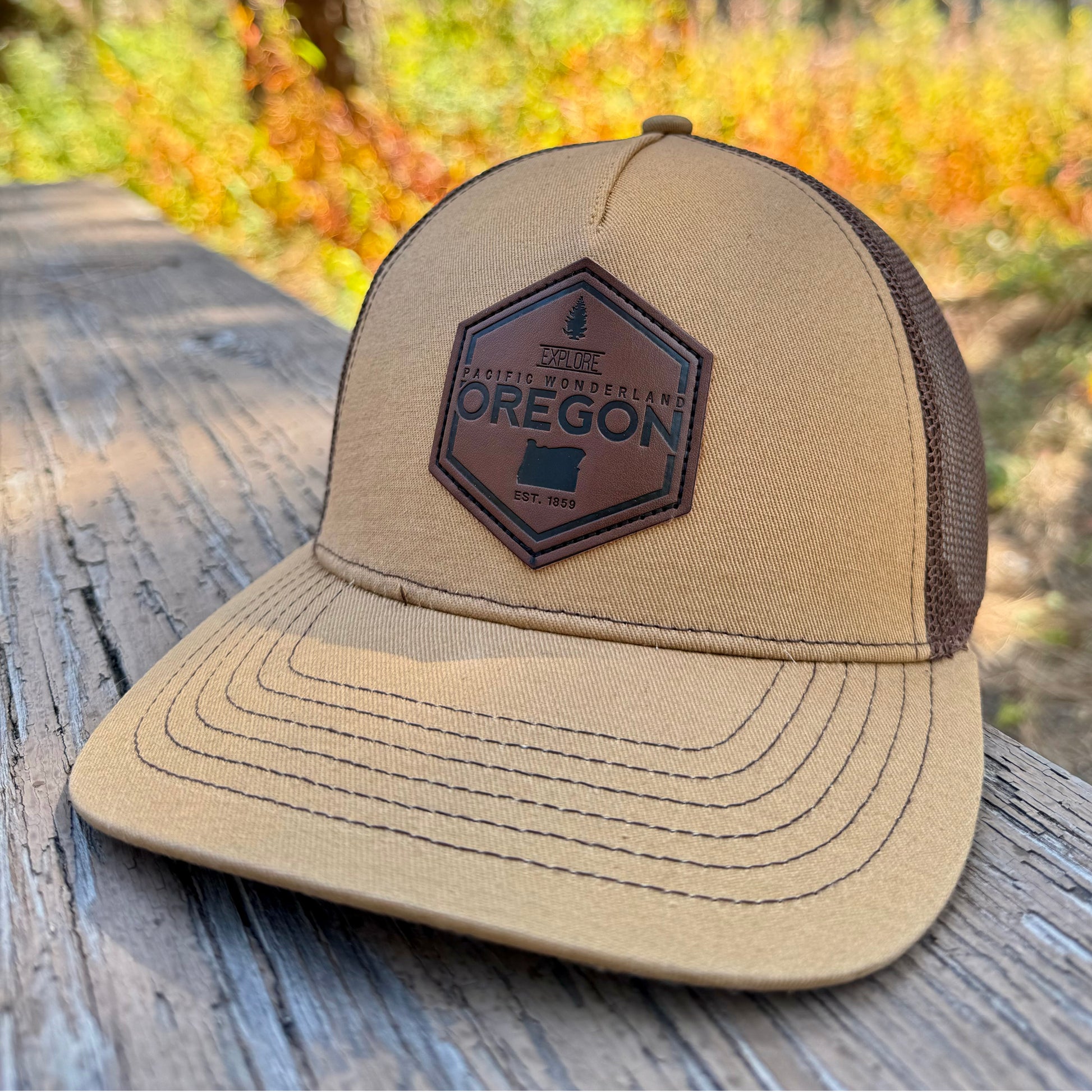 Explore Oregon Curved bill snapback Brown