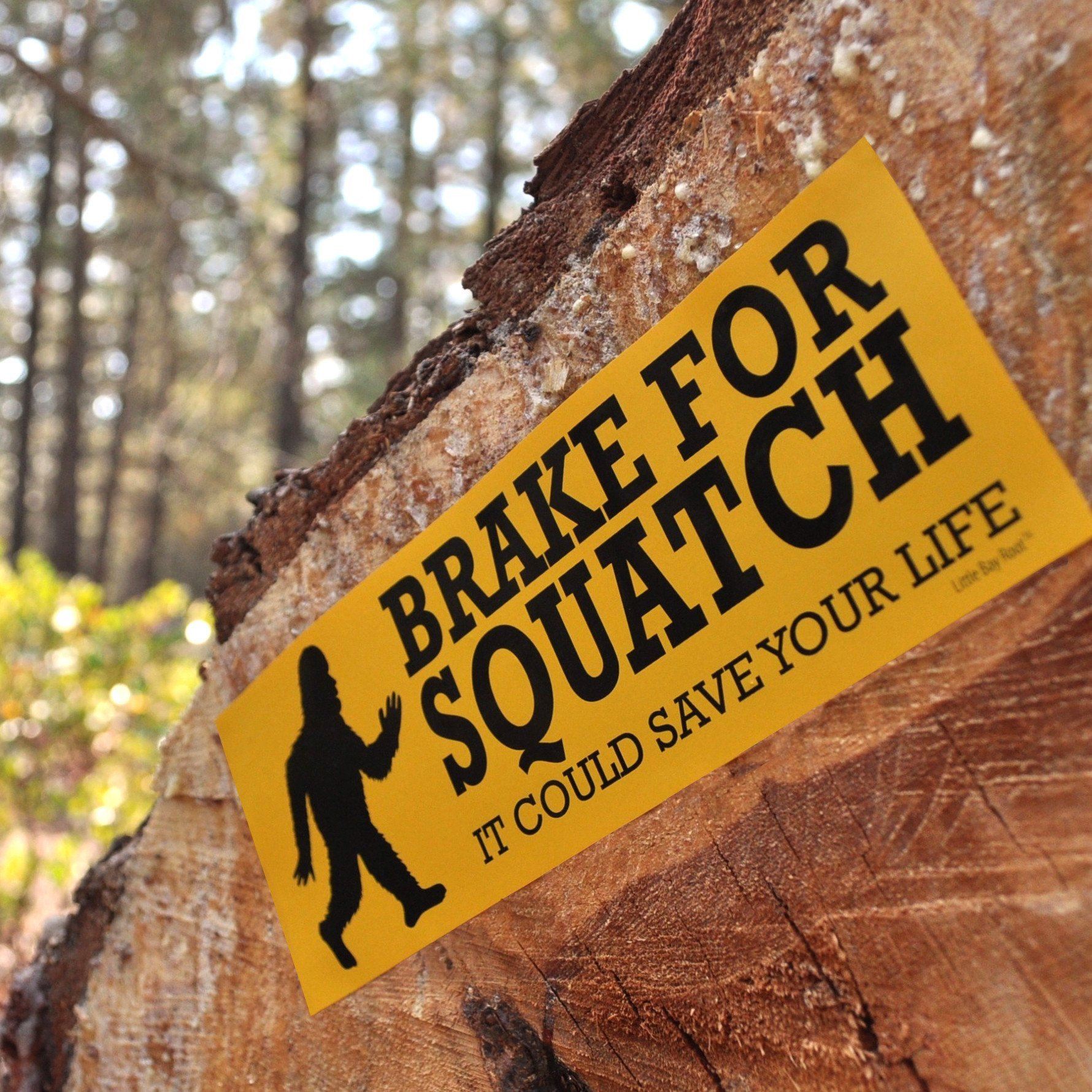 Brake for Sasquatch, It Could Save Your Life Sticker